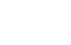 Jerky   (Official Site) Huge Selection of Gourmet Beef Jerky