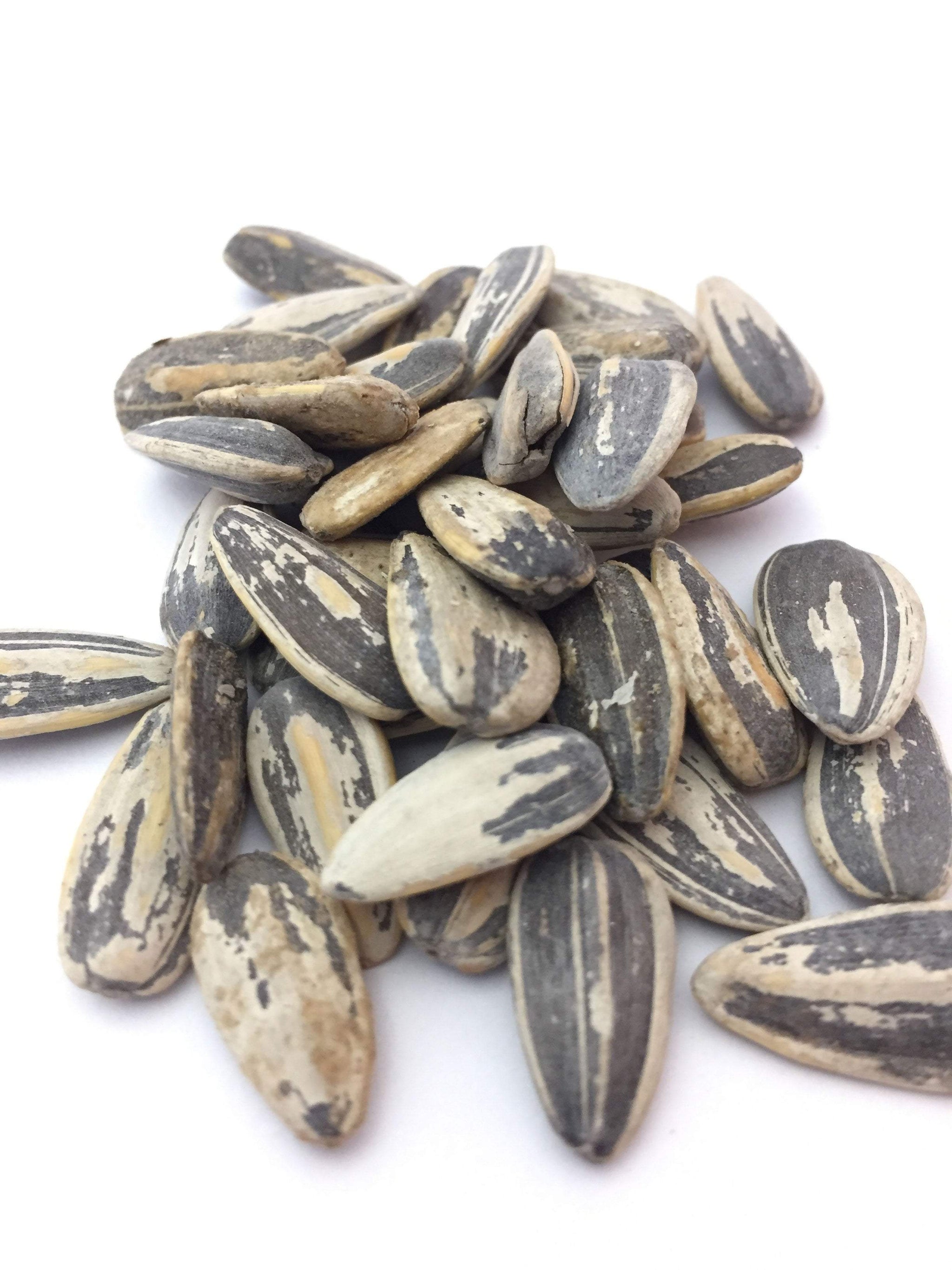 Salt & Balsamic Vinegar Sunflower Seeds Made with REAL ingredients